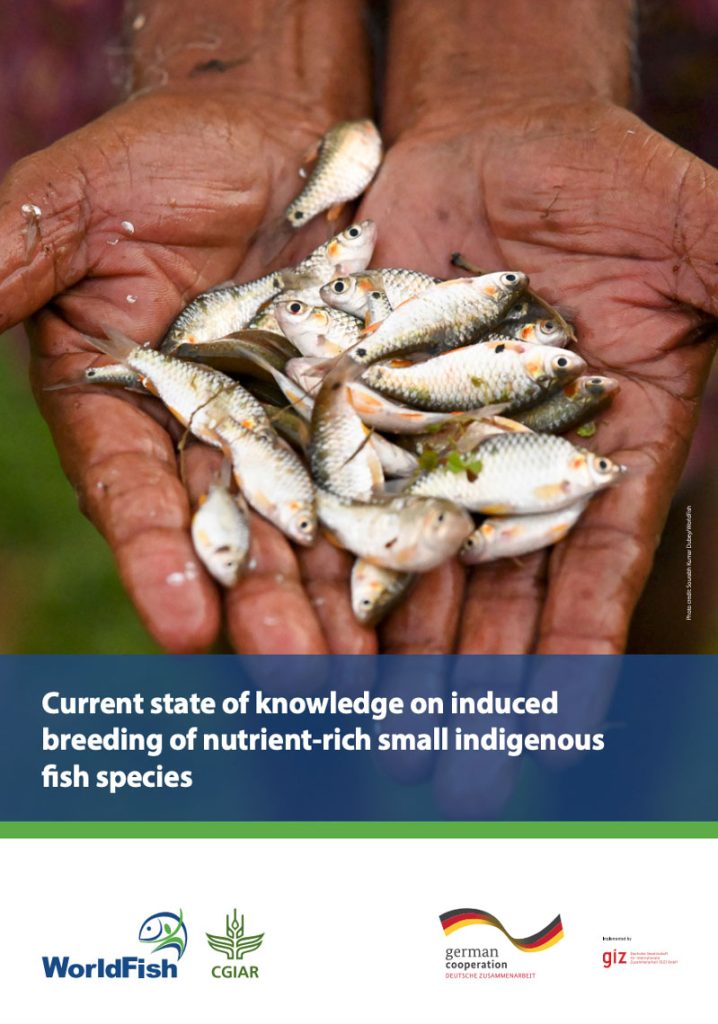 Current state of knowledge on induced breeding of nutrient-rich small indigenous fish species