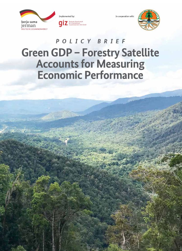 Green GDP: Forestry Satellite Accounts for Measuring Economic Performance