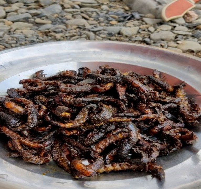 Edible Aquatic Insects as Future Protein Sources: Challenges in Sustainable Utilization